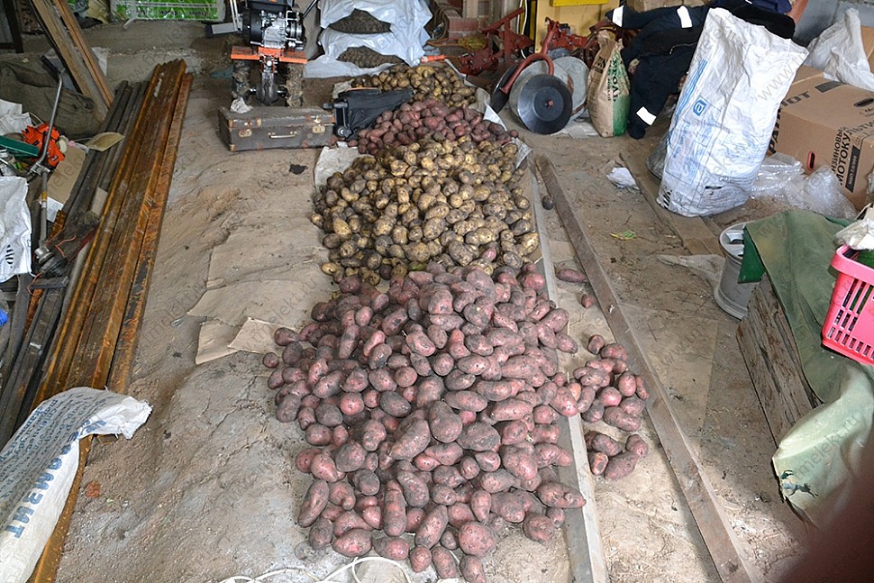 Как организовать отопление гаража – просушка картофеля в гараже